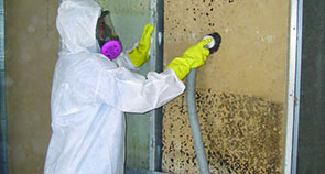 mould cleaning
