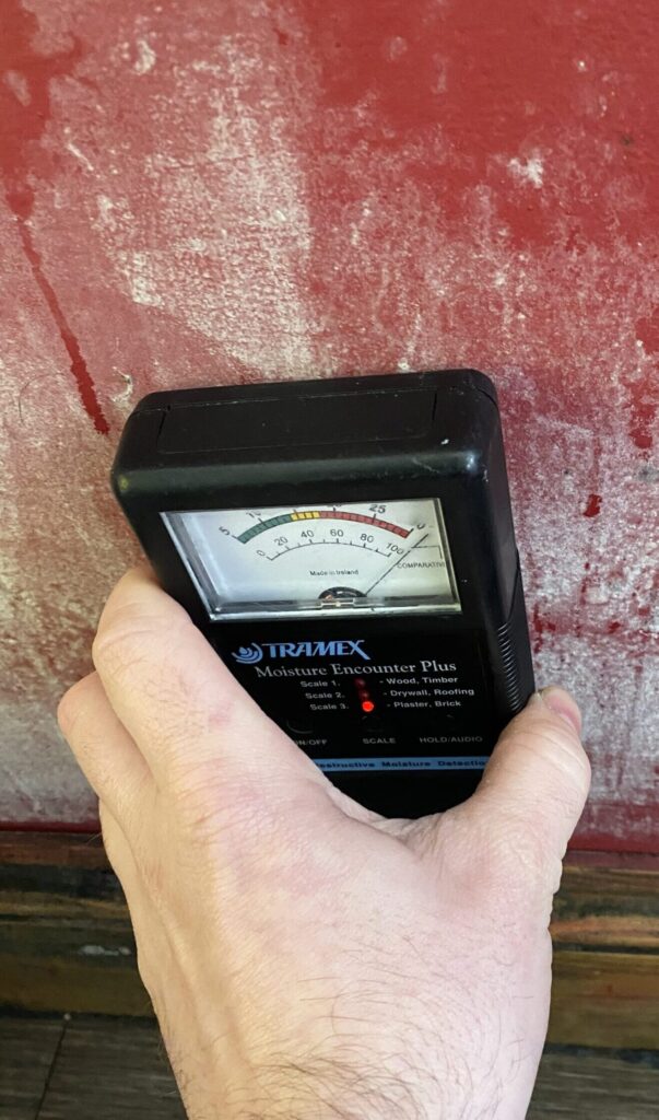 damp and mould survey
