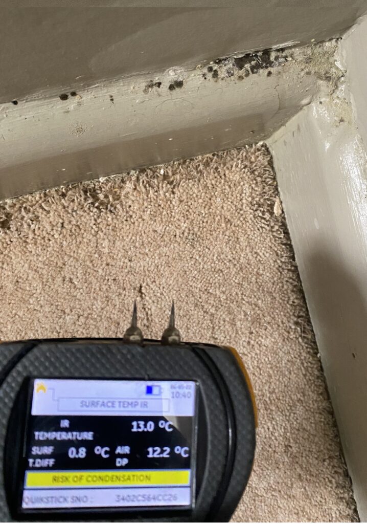 mould detection