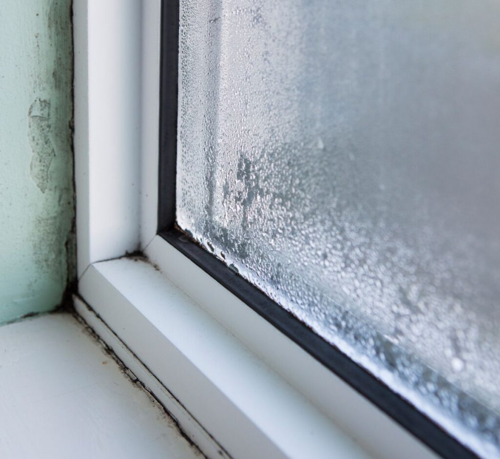 mould and condensation on a window