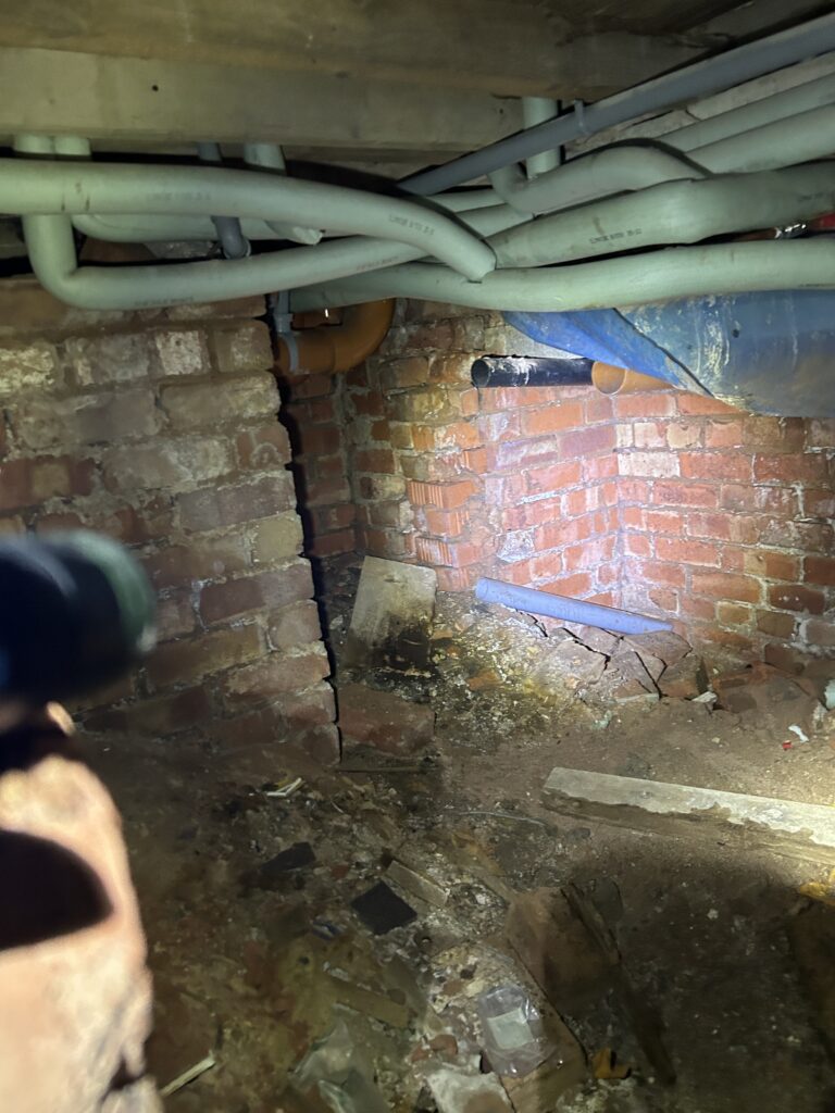 Specialist Drying Services 8 150